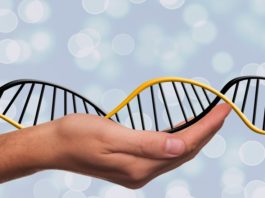 epigenetyka a geny