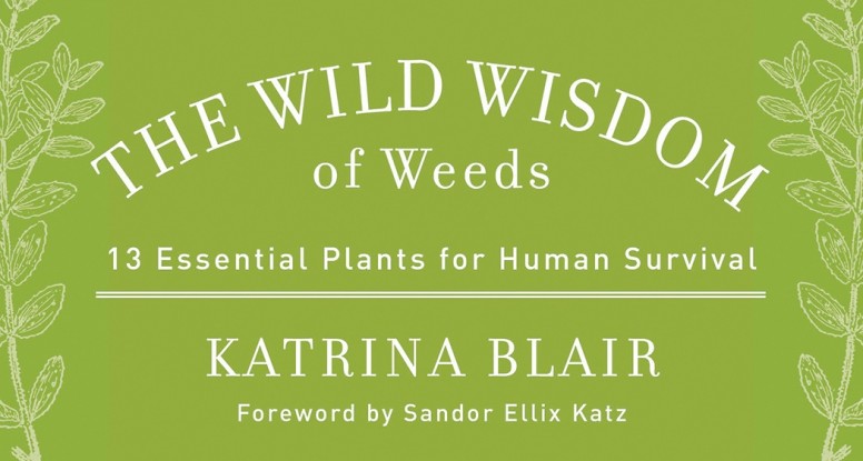 The Wild Wisdom of Weeds Review + Giveaway