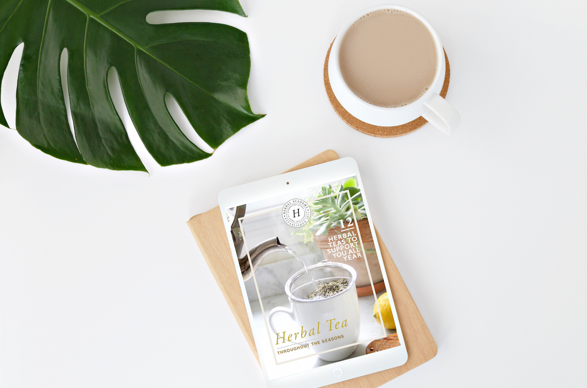 Bezpłatne pobieranie e-booków: Herbata ziołowa przez wszystkie pory roku